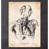 Codex Anatomicus Anatomical Print A5 Size (14.8 x 21 cm) Heart Anatomy Print VIII