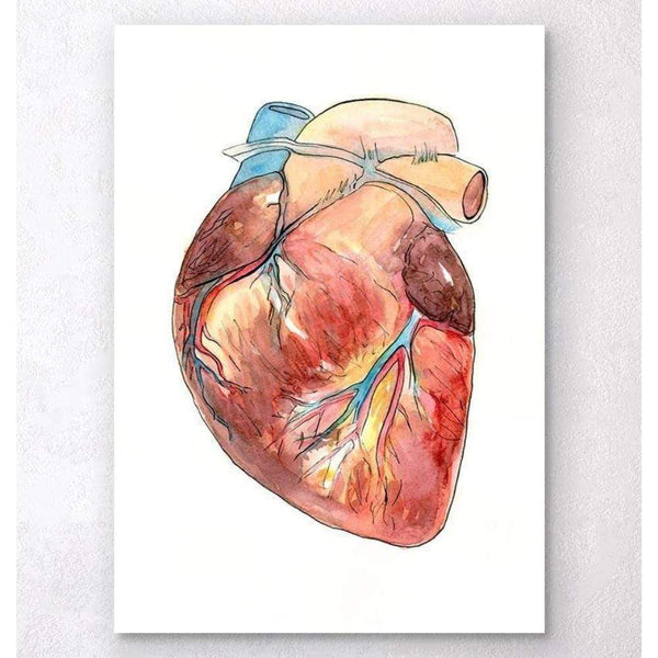 Codex Anatomicus Anatomical Print A5 Size (14.8 x 21 cm) Heart Anatomy Watercolor
