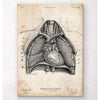 Codex Anatomicus Anatomical Print A5 Size (14.8 x 21 cm) Heart And Lungs Anatomy Art II