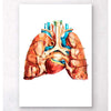 Codex Anatomicus Anatomical Print Heart And Lungs Anatomy