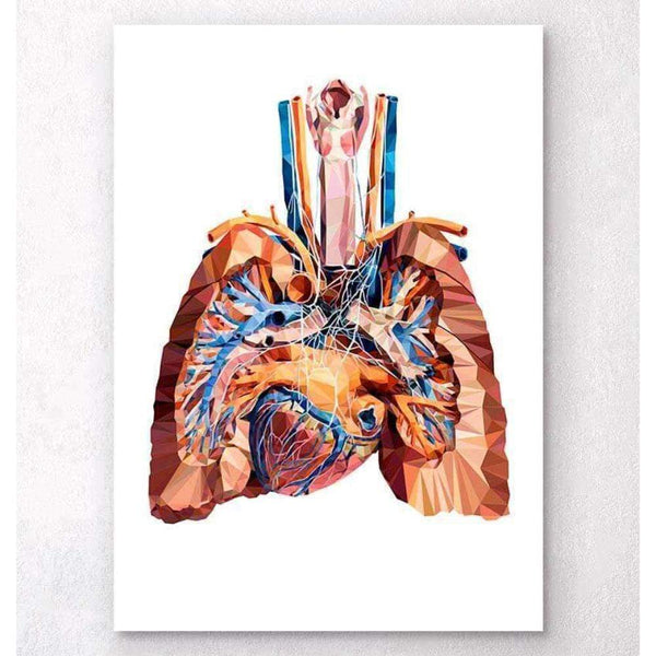 Codex Anatomicus Anatomical Print Heart And Lungs Anatomy III