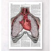 Codex Anatomicus Anatomical Print A5 Size (14.8 x 21 cm) Heart And Lungs Dictionary Page