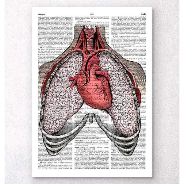 Codex Anatomicus Anatomical Print Heart And Lungs Dictionary Page