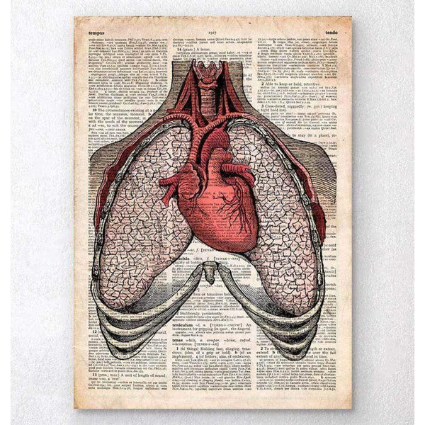 Codex Anatomicus Anatomical Print A5 Size (14.8 x 21 cm) Heart And Lungs Old Dictionary Page