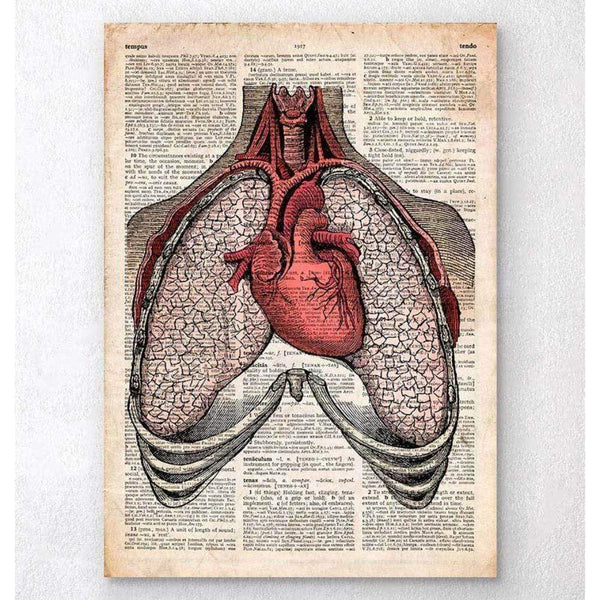 Codex Anatomicus Anatomical Print Heart And Lungs Old Dictionary Page