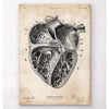 Codex Anatomicus Anatomical Print A5 Size (14.8 x 21 cm) Heart Section Art Print II