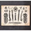 Codex Anatomicus Anatomical Print A5 Size (14.8 x 21 cm) Human Anatomy Print Various Illustrations