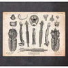 Codex Anatomicus Anatomical Print Human Anatomy Print Various Illustrations