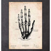 Codex Anatomicus Anatomical Print A5 Size (14.8 x 21 cm) Human Hand Anatomy Print