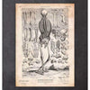 Codex Anatomicus Anatomical Print Human Skeleton Print III