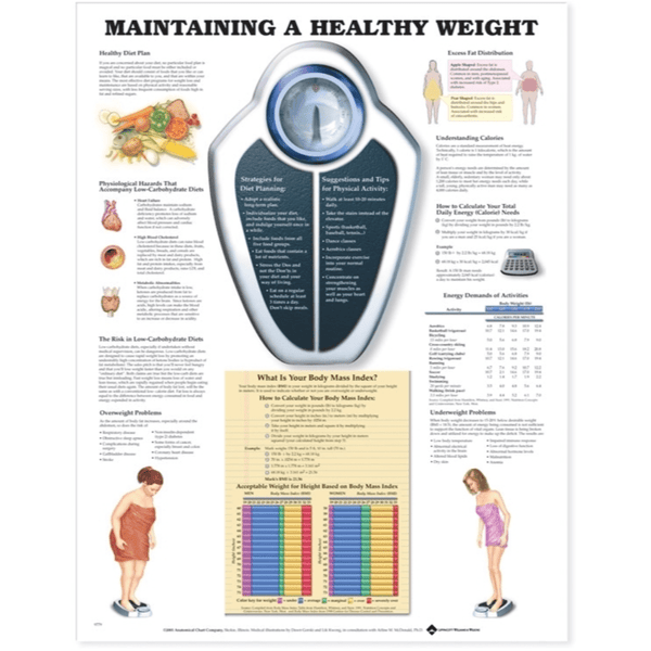 Anatomical Chart Company Anatomical Charts Maintaining A Healthy Weight