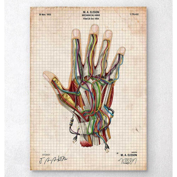 Codex Anatomicus Anatomical Print Mechanical Hand Blueprint