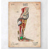 Codex Anatomicus Anatomical Print Mechanical Leg Blueprint