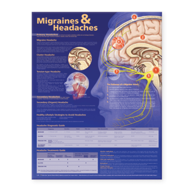 Anatomical Chart Company Anatomical Charts Migraines and Headaches Anatomical Chart