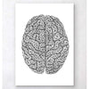 Codex Anatomicus Anatomical Print Minimal Geometric Brain