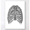 Codex Anatomicus Anatomical Print Minimal Geometric Rib Cage