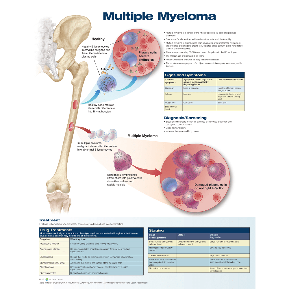 Multiple Myeloma Medshop Australia