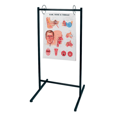 Anatomical Chart Company Chart Stand Portable Chart Stand