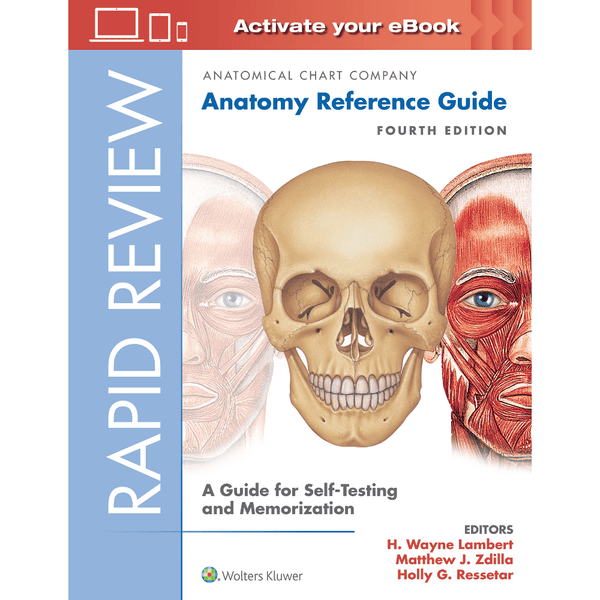 Anatomical Chart Company Books Rapid Review: Anatomy Reference Guide