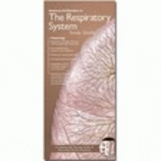 Anatomical Chart Company Anatomical Study Guide Respiratory System & Disorders Study Guide