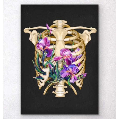 Codex Anatomicus Anatomical Print Rib Cage Anatomy Floral Black