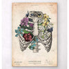 Codex Anatomicus Anatomical Print Rib Cage Print Colored