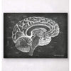 Codex Anatomicus Anatomical Print A5 Size (14.8 x 21 cm) Sagittal Brain Anatomy Chalkboard