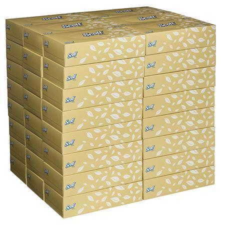 Scott Facial Tissue Box/100 / 2Ply Scott Facial Tissue