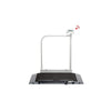 Seca Platform Scales Seca 676 Platfrom Scale with Handrail