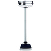 Seca 700 Mechanical Column Scales with Eye Level Riders