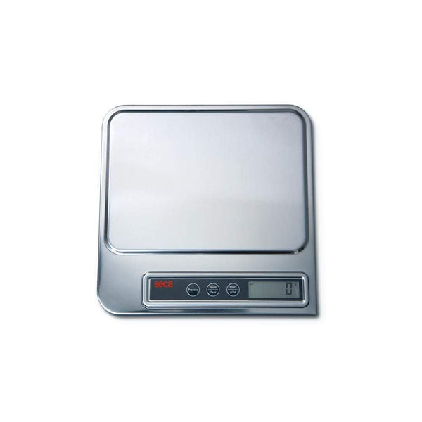 Seca Medical Scales Seca 856 Organ and Diaper Scale