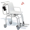 Seca Chair Scales Seca 954 Chair Scale