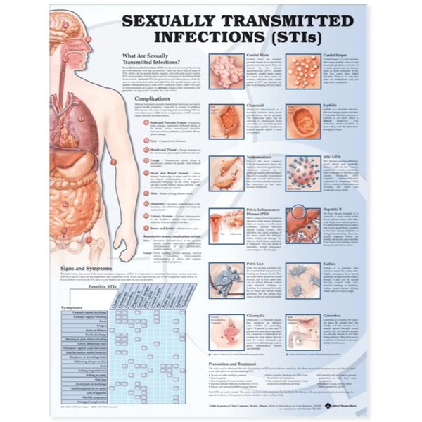 Anatomical Chart Company Anatomical Charts Sexually Transmitted Infections Anatomical Chart