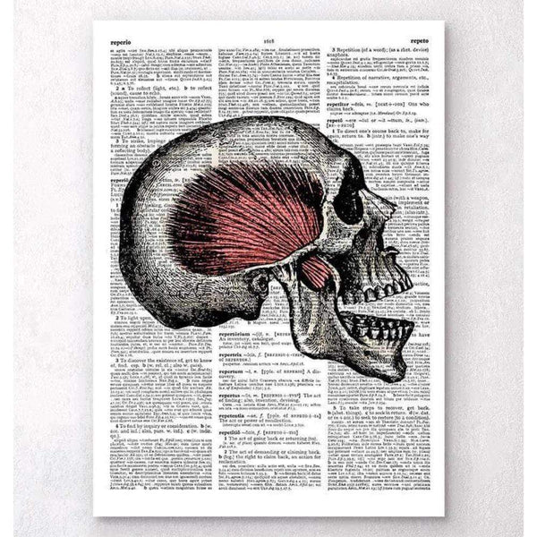 Codex Anatomicus Anatomical Print Skull Anatomy Dictionary Page