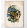 Codex Anatomicus Anatomical Print Skull Anatomy Floral Old Paper