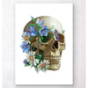 Codex Anatomicus Anatomical Print Skull Anatomy Floral White