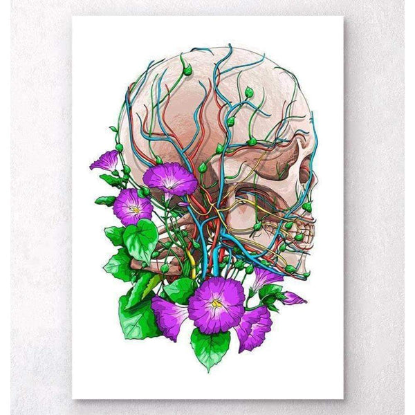 Codex Anatomicus Anatomical Print Skull With Flowers