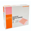 Smith & Nephew Allevyn Ag Gentle Border Showerproof Dressing