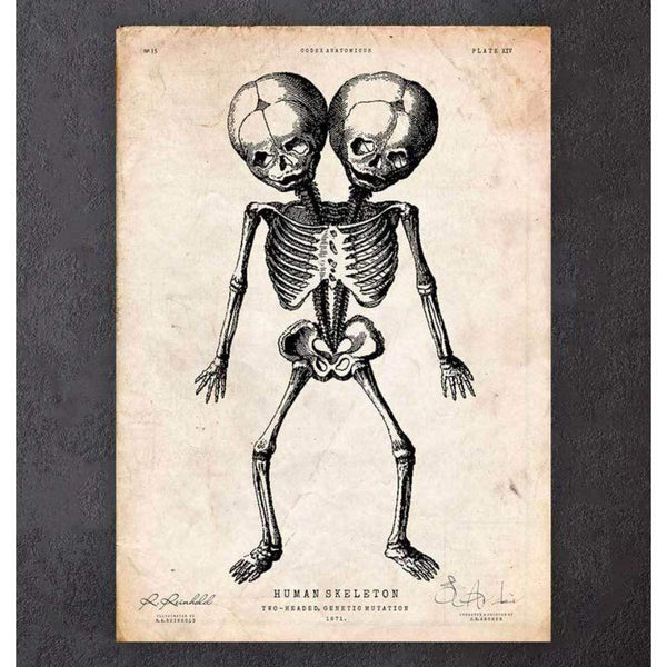 Codex Anatomicus Anatomical Print TwoHeaded Skeleton Print