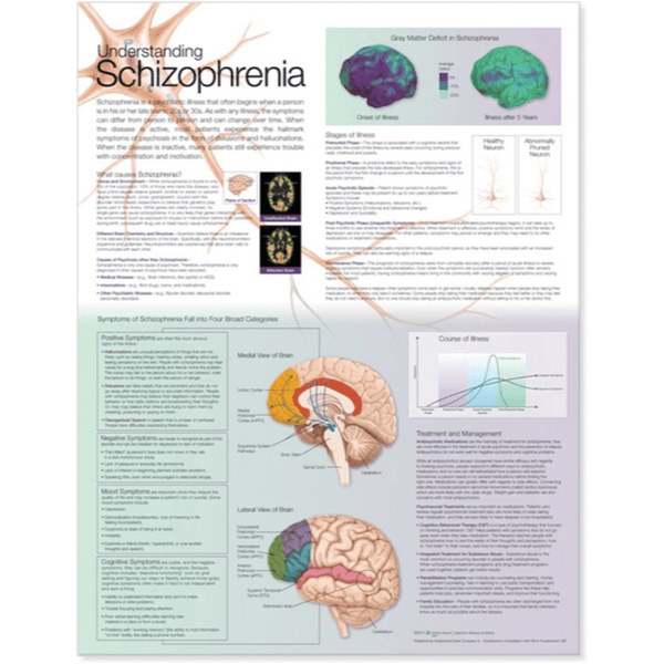Anatomical Chart Company Anatomical Charts Understanding Schizophrenia Anatomical Chart
