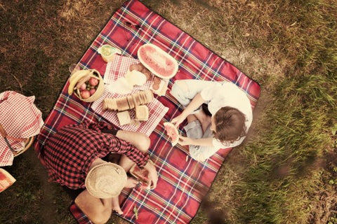 road_trip_accessories_picnic_blanket