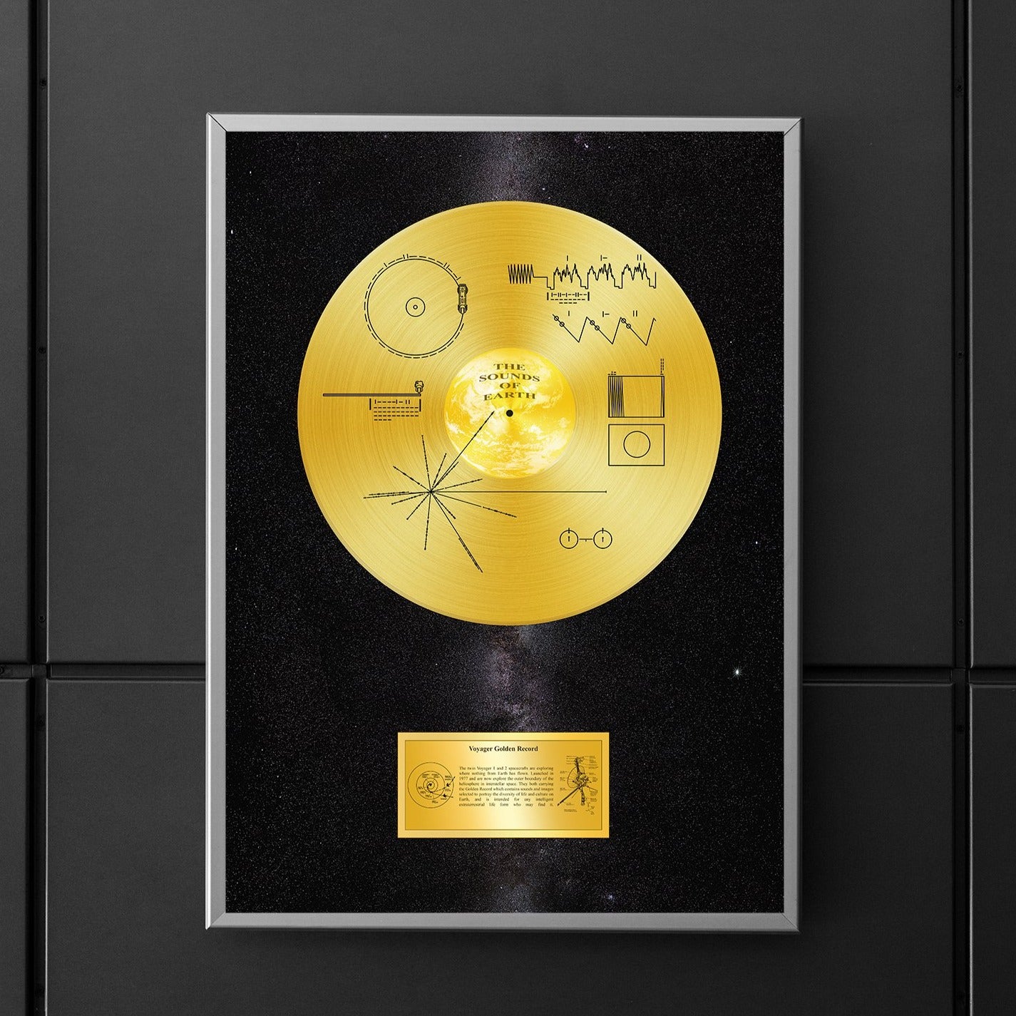 voyager golden record poster