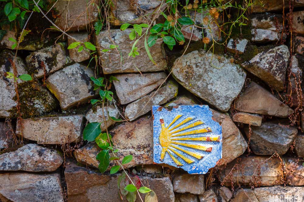 Concha de Santiago - Camino de Santiago 