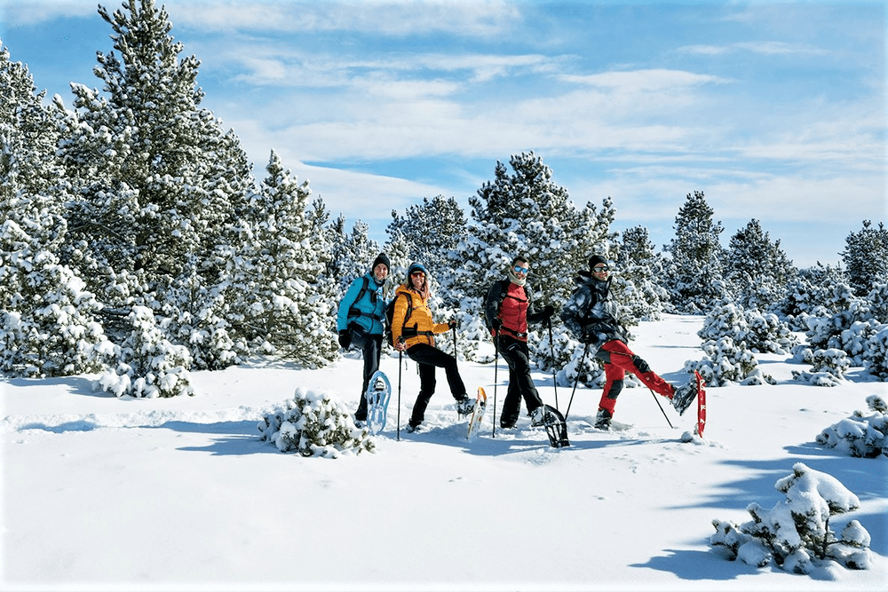 uller raquetas navacerrada excursion