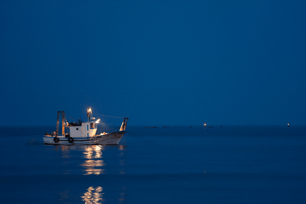 mar pesca rodaballos uller barcos