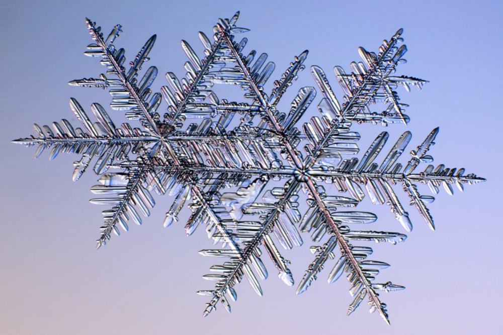 dentistas copos de nieve uller