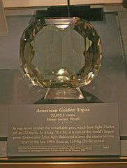 The American Golden Topaz - By Observer31 at English Wikipedia, CC BY 3.0, https://commons.wikimedia.org/w/index.php?curid=51287987