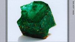 Carolina Emperor Emerald - Source: CNN