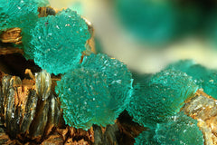 Rough Turquoise Crystals