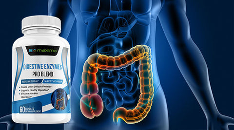 Digestive enzymes for bowel function  helps break food into nutrients 